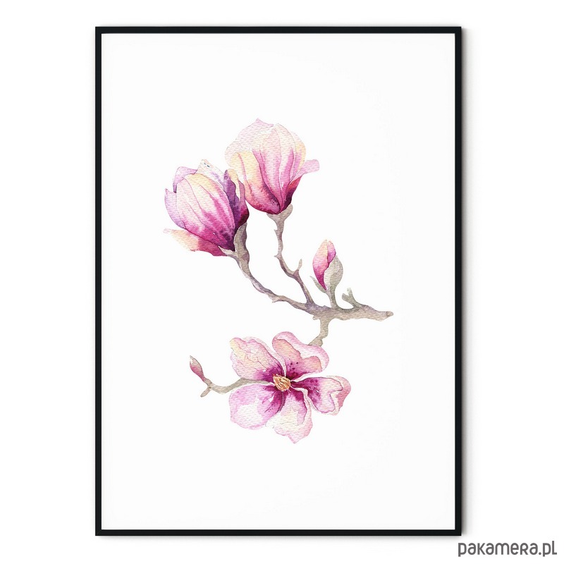 Plakat Skandynawski Botaniczny Magnolia Plakaty Pakamera Pl