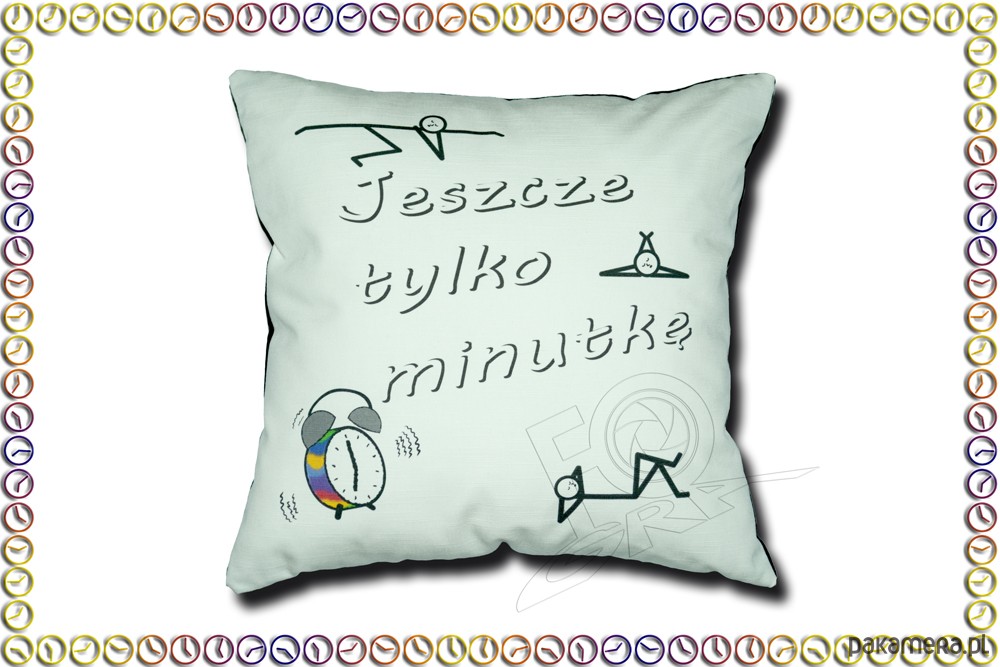 https://img.pakamera.net/i1/1/295/poduszki-poszewki-narzuty-12188750_3438725295.jpg