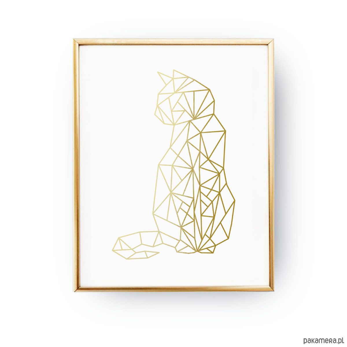 Geometryczny Kot Złota Folia Plakaty Pakamerapl
