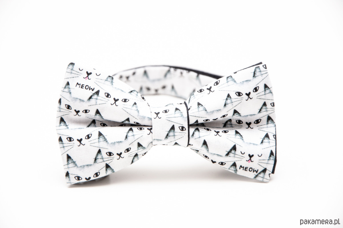 mucha MEOW - Pakamera.pl