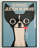 plakaty Plakat 30x40  serwus jestem nerwus