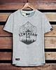 t-shirty męskie Koszulka męska SZWENDAM SIĘ/GÓRY szara