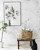 plakaty Wełnianka Eriophorum / print