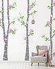 tapety i naklejki ścienne NAKLEJKI BRZOZY i SOWY ZESTAW