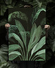 plakaty Plakat botaniczny  50x70 cm
