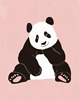 obrazy i plakaty do pokoju dziecięcego Panda