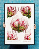 plakaty Plakat  Peonie vintage