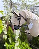 zabawki - inne Hobby horse A3 izabelowaty koń na kiju