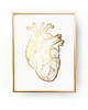 plakaty Plakat Anatomiczne Serce, Złota Folia 