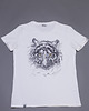 t-shirt damskie T-shirt Tygrys