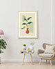plakaty Plakat Boho Kwiaty w Wazonach  Zielony
