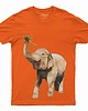 t-shirty dla chłopców Koszulka dziecięca ze słoniem
