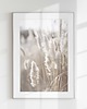 plakaty Plakat  - Trawy Boho