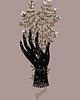 grafiki i ilustracje Night blossom