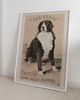 plakaty Plakat Vintage Retro Dog