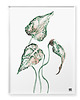 plakaty Plakat Begonia 2