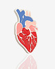 przypinki Pin Real Heart