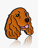 przypinki Pins " Spaniel"