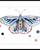 grafiki i ilustracje Ćma deco, 30x42 cm, A3