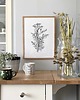 grafiki i ilustracje Wrotycz 30x40  - grafika botaniczna
