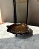 mydelniczki Ceramiczna Mydelniczka z Odpływem Muszelka Muszla Czarno Brązowa