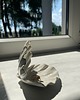 pojemniki na biżuterię Ceramiczna Muszla Muszelka Skarbiec z Perłą na Biżuterię Perłowa Biel
