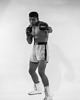 plakaty Plakat MUHAMMAD ALI - dekoracje wnętrz