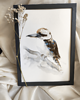 obrazy Akwarela kookaburra - dacelo