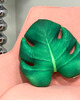 poduszki z grafiką Poduszka Monstera Liść Monstery