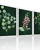 obrazy OBRAZ NA PŁÓTNIE -ROŚLINKI 3 części 50x70cm