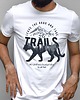 t-shirty męskie Koszulka  z nadrukiem Cień tygrysa