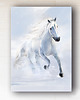 obrazy Obraz - Biegnący koń - wydruk na płótnie