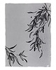 kocyki, kołderki, pościel dla dzieci Kocyk "Wierzba" żakard gray/graphite