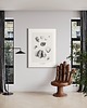 grafiki i ilustracje Muszle   print 50x70 cm