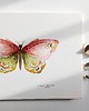 plakaty Plakat Różowy Motyl