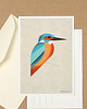 grafiki i ilustracje Pocztówka, zimorodek, kingfisher, ptak