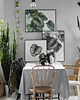 plakaty Plakat Calathea 30x40 cm