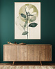plakaty Magnolia - Plakat, druk - Chiński Orient, Harmonia Zen, Roślinny #8