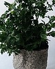wazony Ceramiczny wazon pieprz i sól