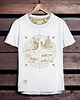 t-shirty męskie Koszulka męska RÓŻA WIATRÓW kompas biała -