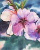 obrazy "Akwarelowy kwiat" 27.3*39.5cm/ akwarela