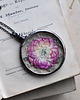 wisiory Eternal Rose