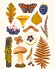plakaty Plakat "Babie lato" 30x40 cm