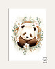 obrazy i plakaty Panda Wanda - ilustracja