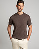 t-shirty męskie T-shirt dorzano brąz