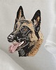 t-shirt damskie Koszulka Malinois T-shirt z haftem psa Prezent dla psiarza