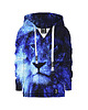 bluzy dla dziewczynki Bluza Dziewczynka DR.CROW Shinning Lion