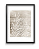 plakaty Plakat Sepia Leaves 