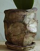 doniczki ŚLADY NATURY III_doniczka ceramiczna handmade_surowa forma
