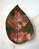 pojemniki na biżuterię Ceramiczna podstawka Dzikość natury